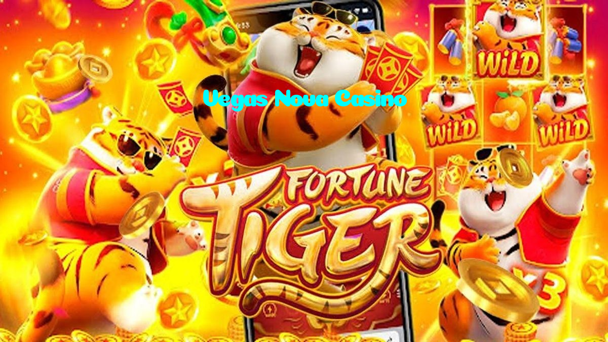 available types of Vegas Nova Casino bet including pre-match live express and system bets